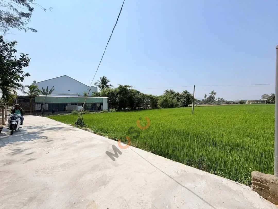 Bán đất Thôn Đông 1 Huyện Diên Khánh, Khánh Hòa – giá 1.1 tỷ — Hình 2 Bán đất Thôn Đông 1 Huyện Diên Khánh, Khánh Hòa – giá 1.1 tỷ — Hình 2