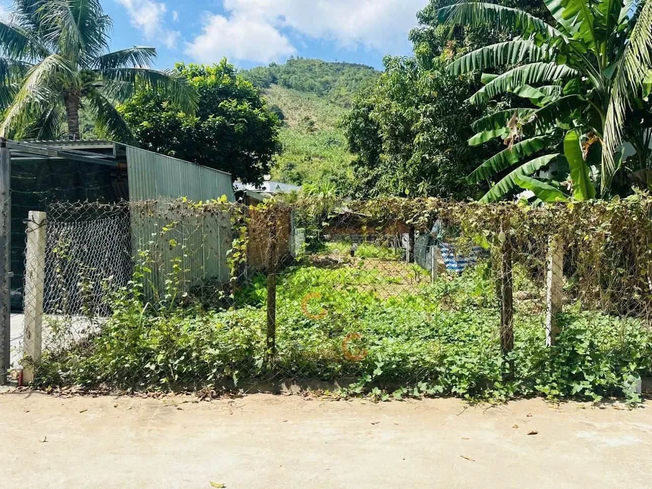 Bán đất Thôn Đắc Lộc Thành phố Nha Trang, Khánh Hòa – giá 1.5 tỷ Bán đất Thôn Đắc Lộc Thành phố Nha Trang, Khánh Hòa – giá 1.5 tỷ