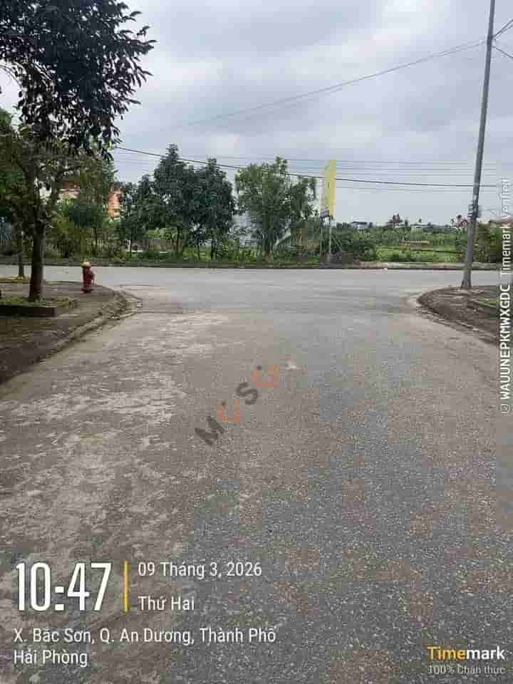 Image Image