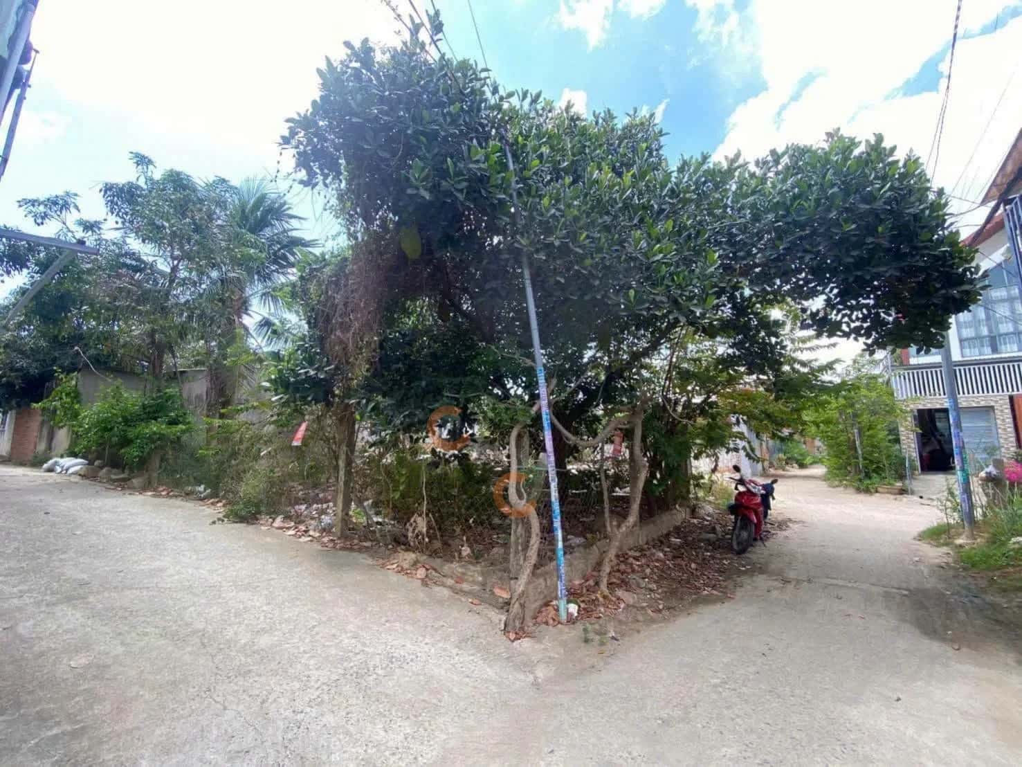 Bán đất Thôn Xuân Ngọc Thành phố Nha Trang, Khánh Hòa – giá 1.8 tỷ — Hình 2 Bán đất Thôn Xuân Ngọc Thành phố Nha Trang, Khánh Hòa – giá 1.8 tỷ — Hình 2