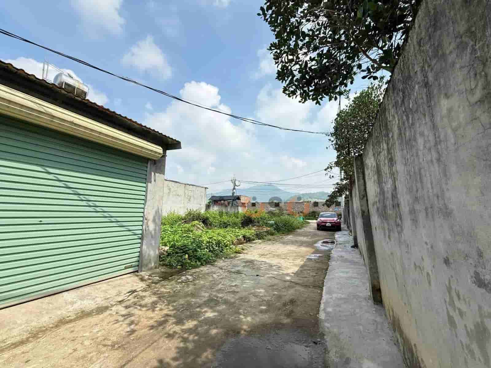 Image Image