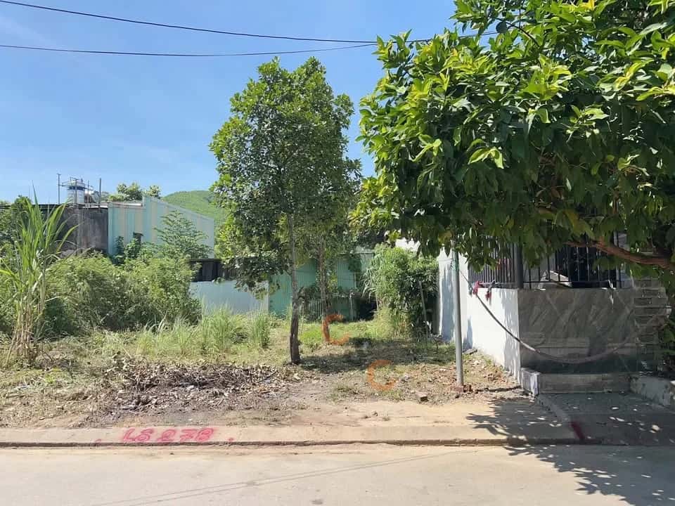 Hình ảnh nhà 2 Hình ảnh nhà 2