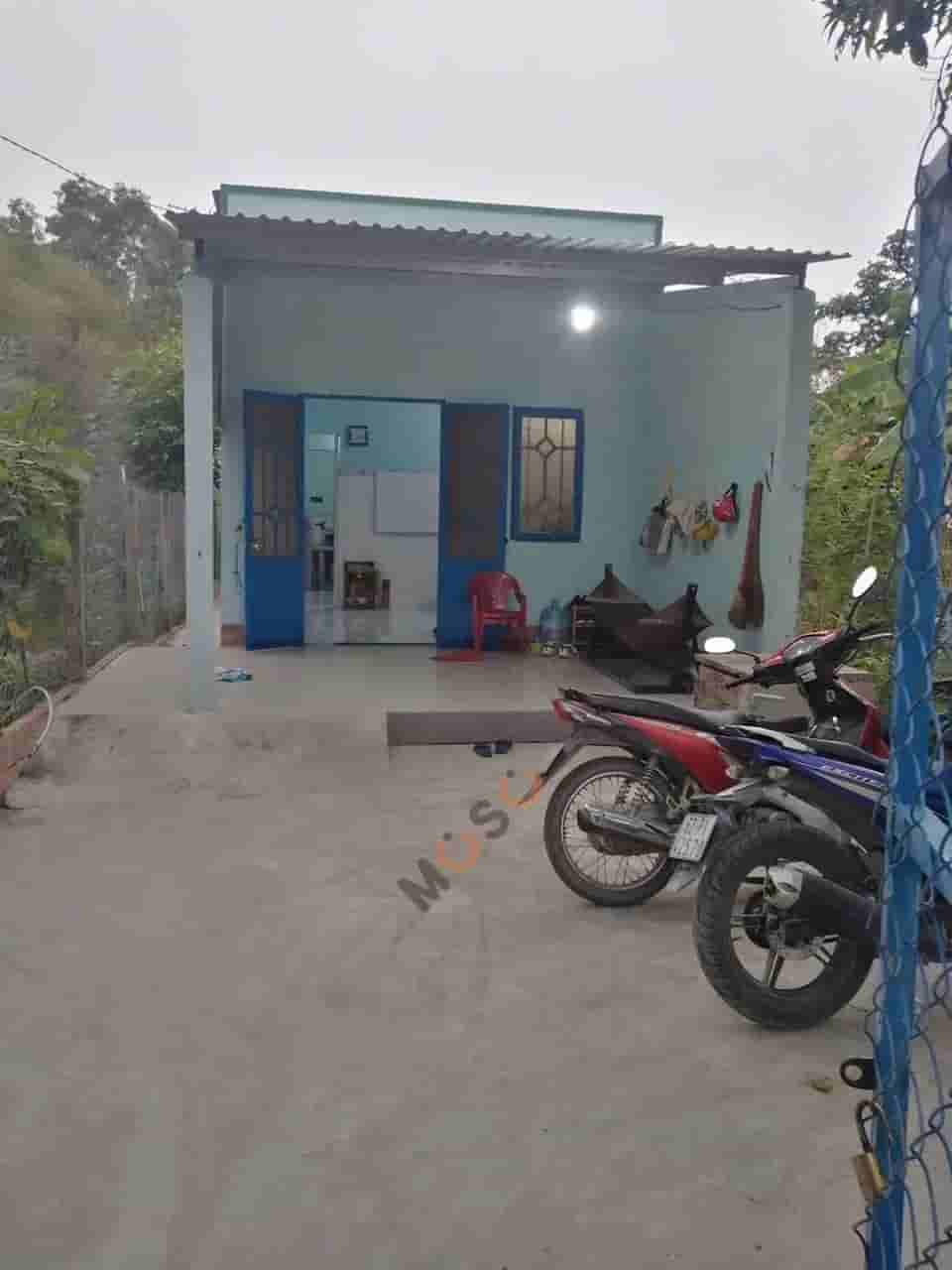 Image Image