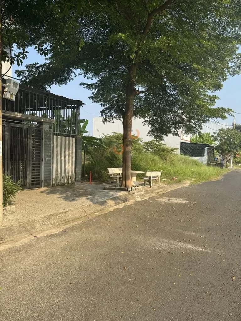 Hình ảnh nhà 2 Hình ảnh nhà 2