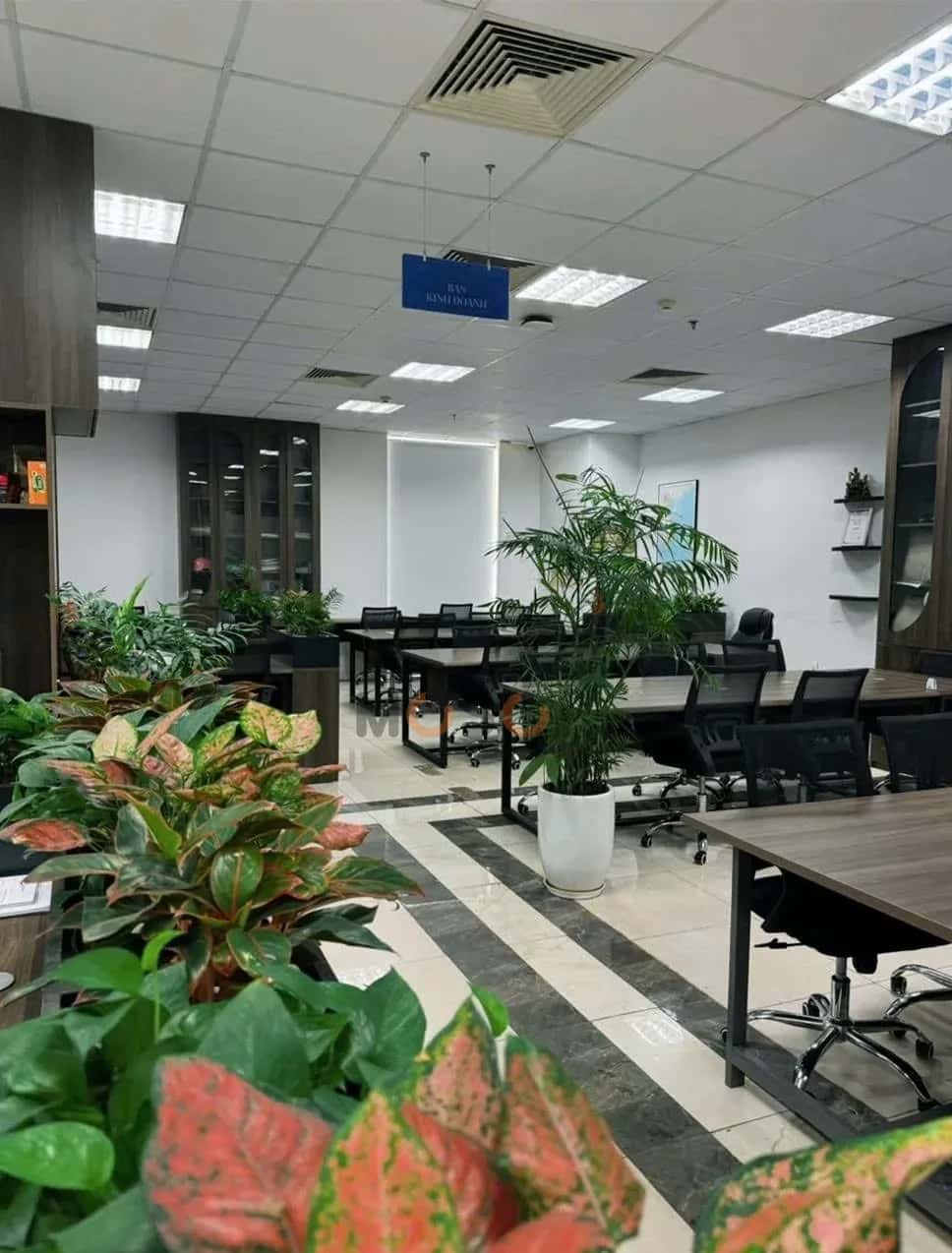 Cho thuê văn phòng Quận Thanh Xuân, Hà Nội – giá 45 triệu — Hình 3 Cho thuê văn phòng Quận Thanh Xuân, Hà Nội – giá 45 triệu — Hình 3