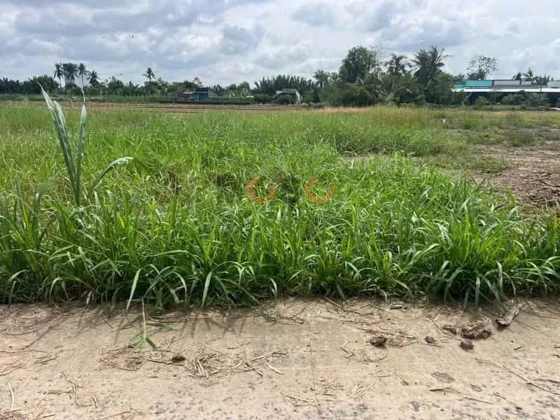Bán đất ấp Thanh Nhung 1 Huyện Gò Công Đông, Tiền Giang – giá 200 triệu Bán đất ấp Thanh Nhung 1 Huyện Gò Công Đông, Tiền Giang – giá 200 triệu
