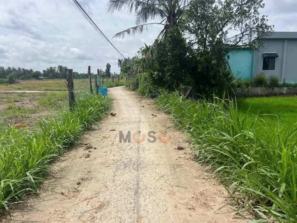 Bán đất ấp Thanh Nhung 1 Huyện Gò Công Đông, Tiền Giang – giá 200 triệu — Hình 2 Bán đất ấp Thanh Nhung 1 Huyện Gò Công Đông, Tiền Giang – giá 200 triệu — Hình 2