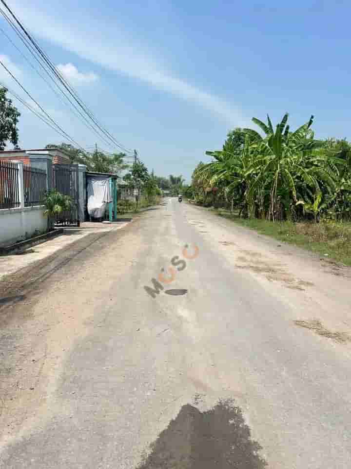 Image Image