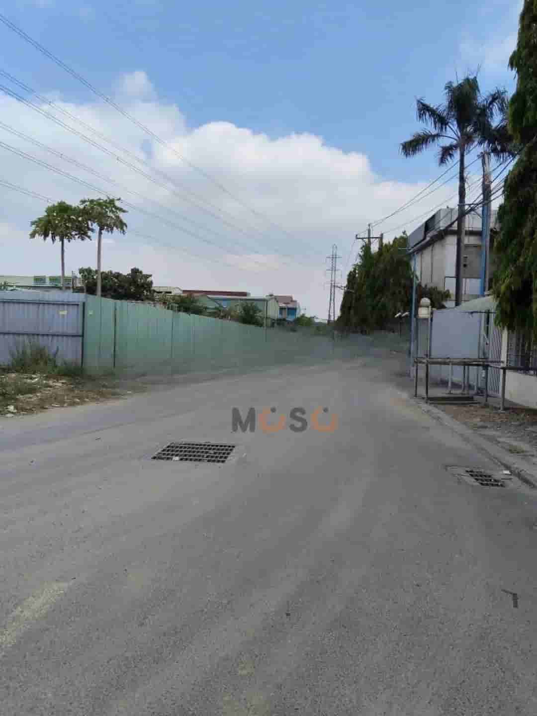 Image Image
