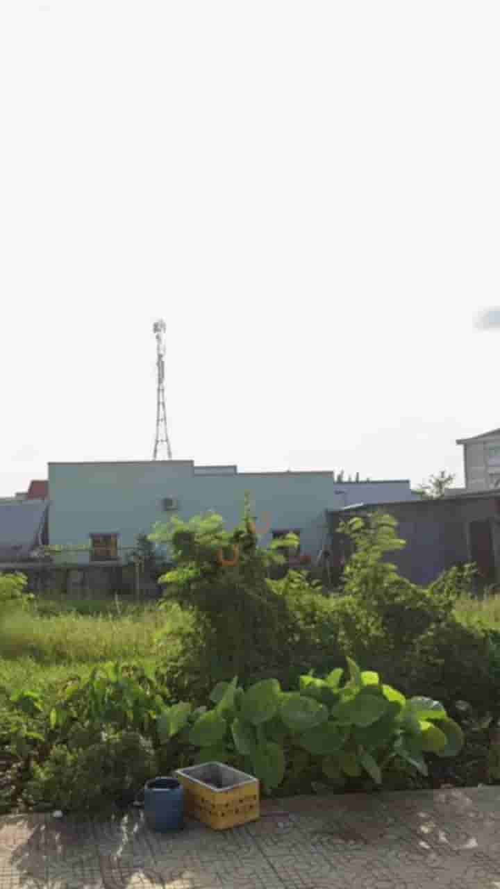 Image Image