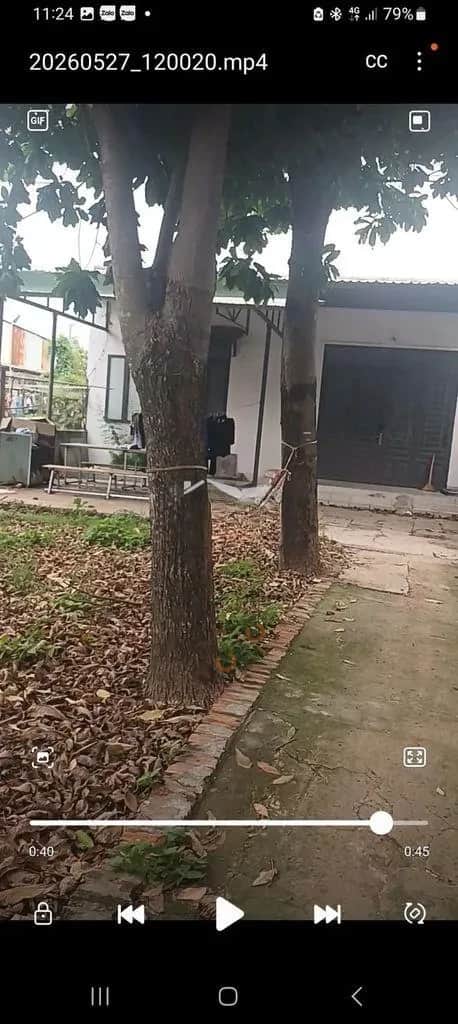Cho thuê đất Long Phước Quận 9 cũ, TP. Thủ Đức – 1 phòng ngủ, giá 7 triệu Cho thuê đất Long Phước Quận 9 cũ, TP. Thủ Đức – 1 phòng ngủ, giá 7 triệu