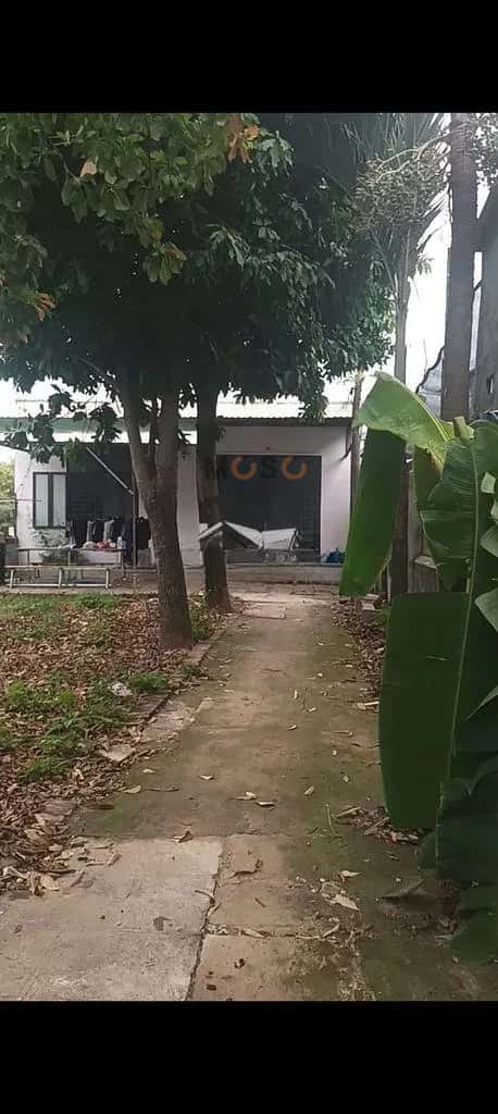 Cho thuê đất Long Phước Quận 9 cũ, TP. Thủ Đức – 1 phòng ngủ, giá 7 triệu — Hình 3 Cho thuê đất Long Phước Quận 9 cũ, TP. Thủ Đức – 1 phòng ngủ, giá 7 triệu — Hình 3
