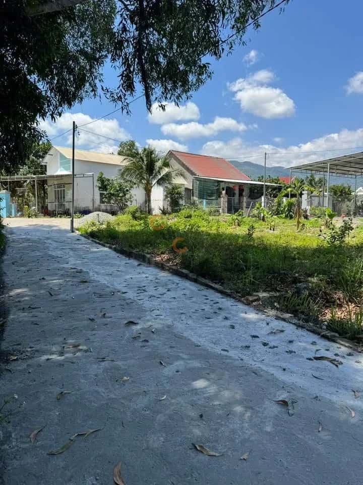 Bán đất Thôn Tân Thành Huyện Diên Khánh, Khánh Hòa – giá 469 triệu — Hình 2 Bán đất Thôn Tân Thành Huyện Diên Khánh, Khánh Hòa – giá 469 triệu — Hình 2