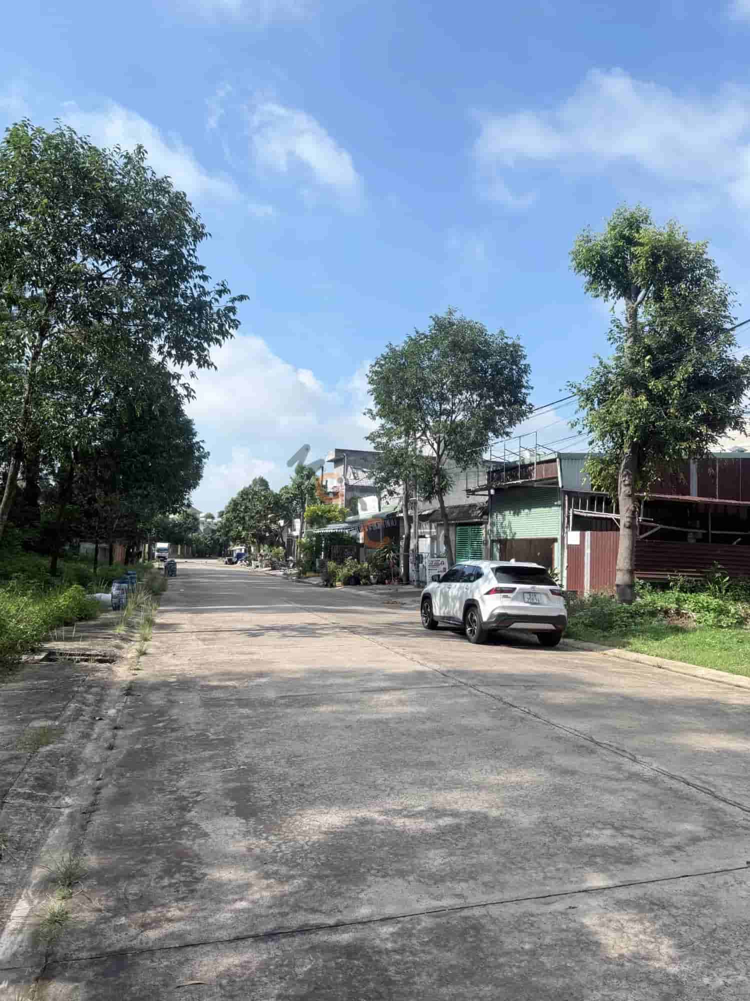 Image Image