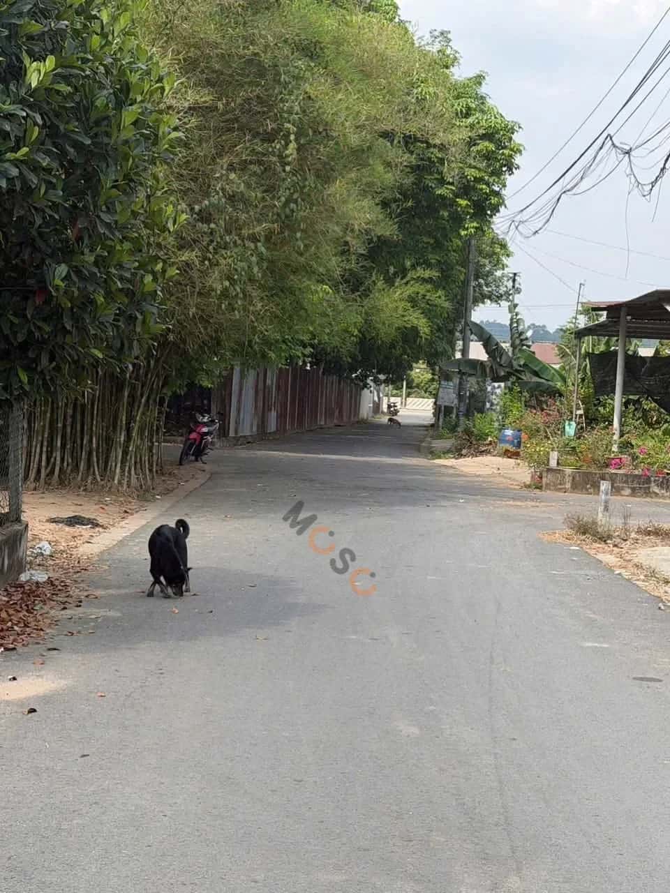 Hình ảnh nhà 3 Hình ảnh nhà 3
