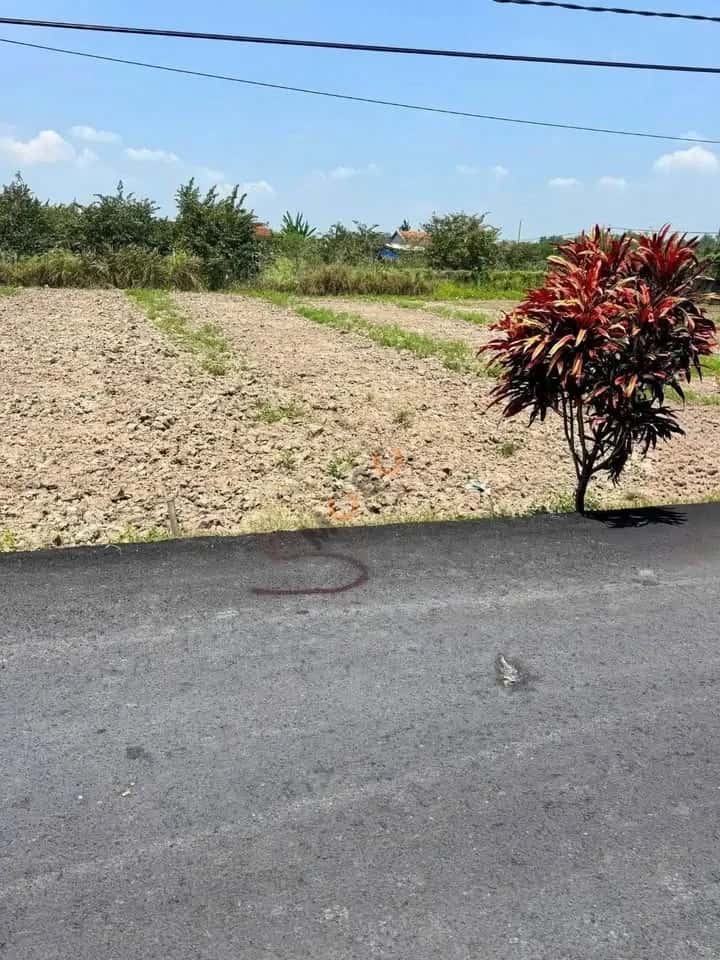 Hình ảnh nhà 2 Hình ảnh nhà 2