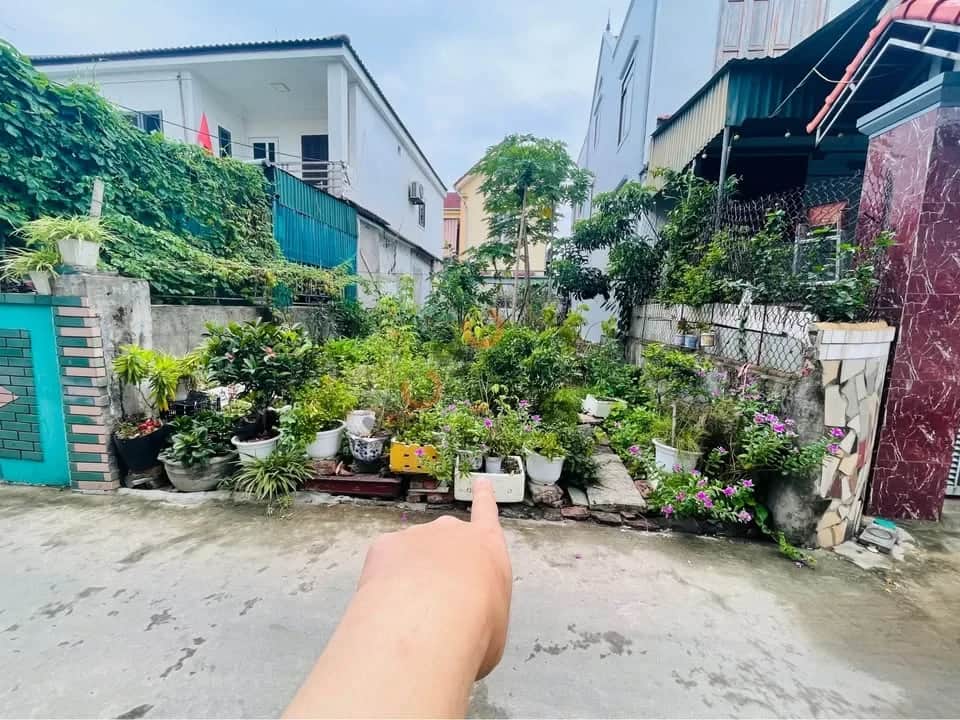 Bán đất Thăng Long, Xóm 14 Thành phố Vinh, Nghệ An – giá 2.5 tỷ Bán đất Thăng Long, Xóm 14 Thành phố Vinh, Nghệ An – giá 2.5 tỷ