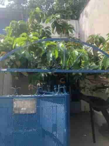 Image Image