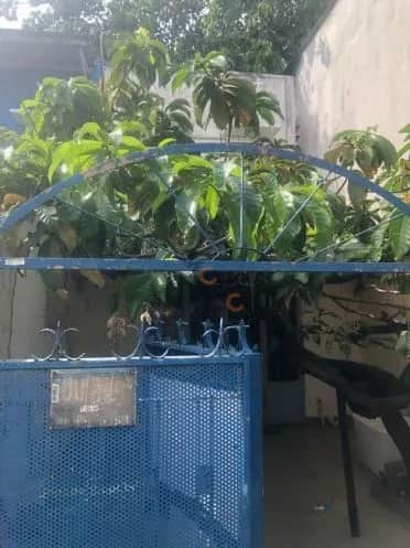 Cho thuê nhà hẻm Đường Đinh Tiên Hoàng Bình Thạnh, TP.HCM – giá 600 tỷ Cho thuê nhà hẻm Đường Đinh Tiên Hoàng Bình Thạnh, TP.HCM – giá 600 tỷ