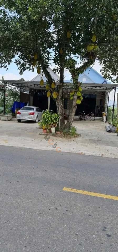 Hình ảnh nhà 3 Hình ảnh nhà 3