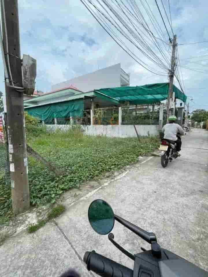 Image Image