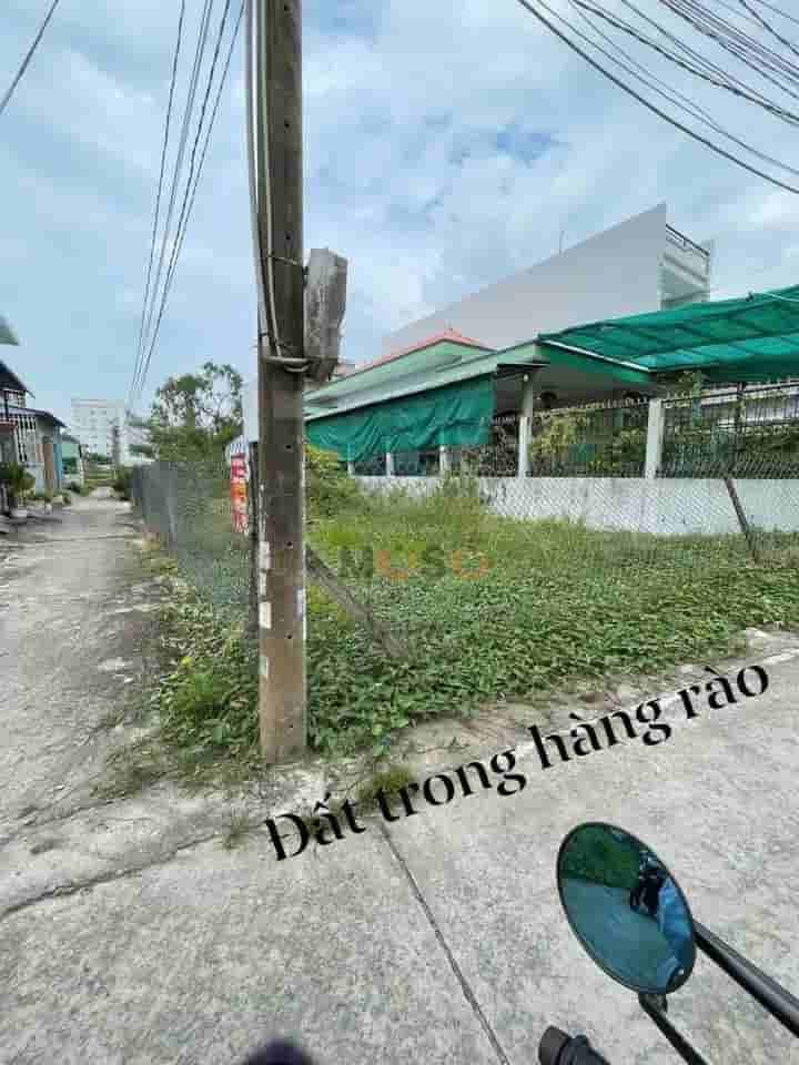 Image Image