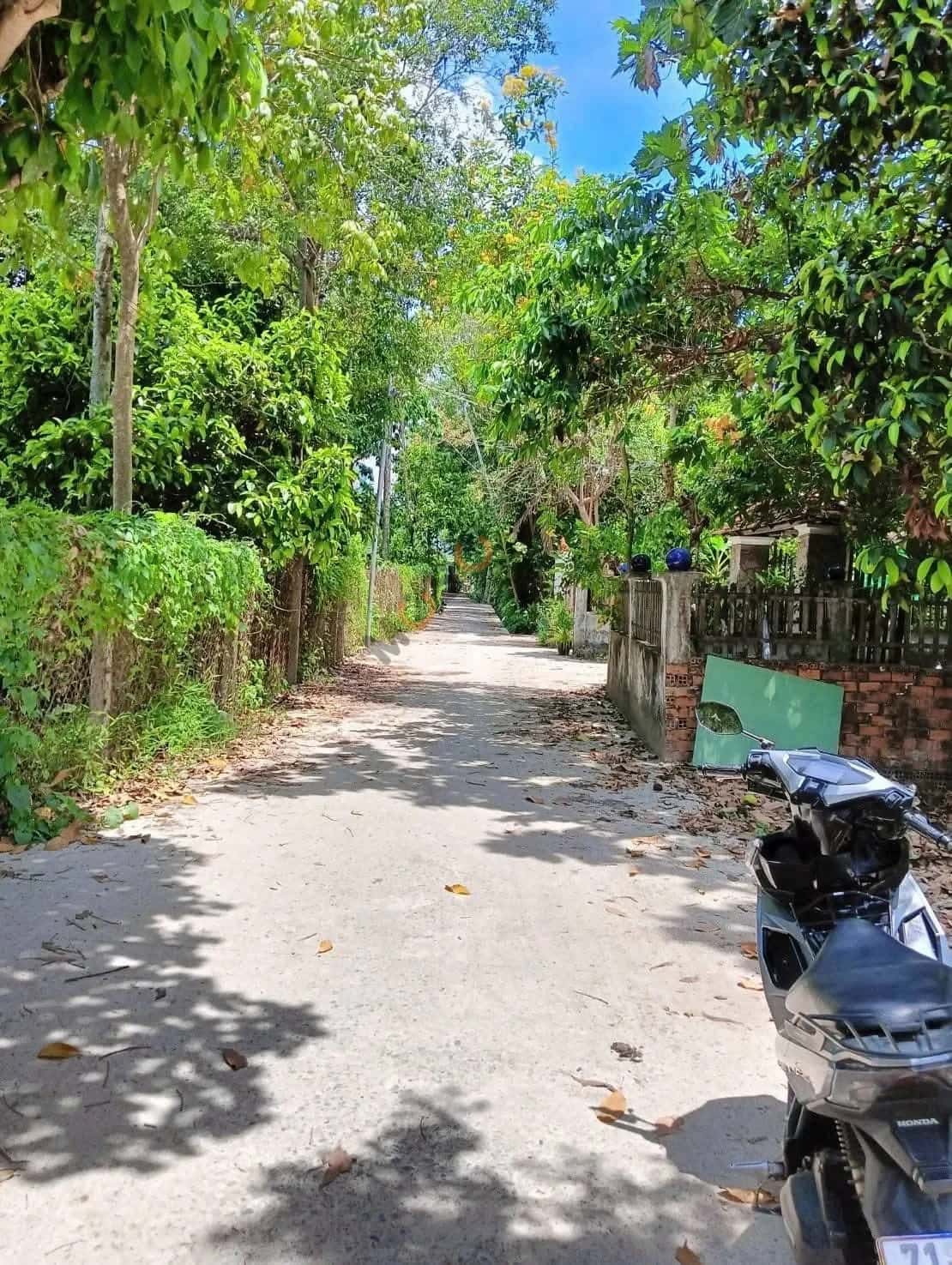 Hình ảnh nhà 2 Hình ảnh nhà 2