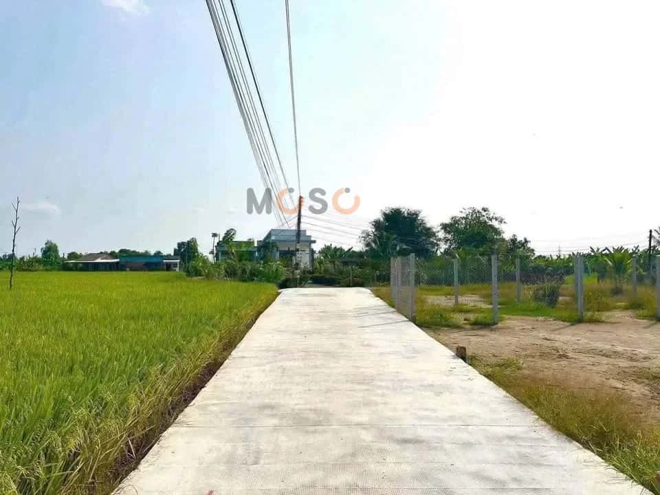 Bán đất Vành Đai Thành Phố Tân An Thành phố Tân An, Long An – giá 950 triệu — Hình 2 Bán đất Vành Đai Thành Phố Tân An Thành phố Tân An, Long An – giá 950 triệu — Hình 2