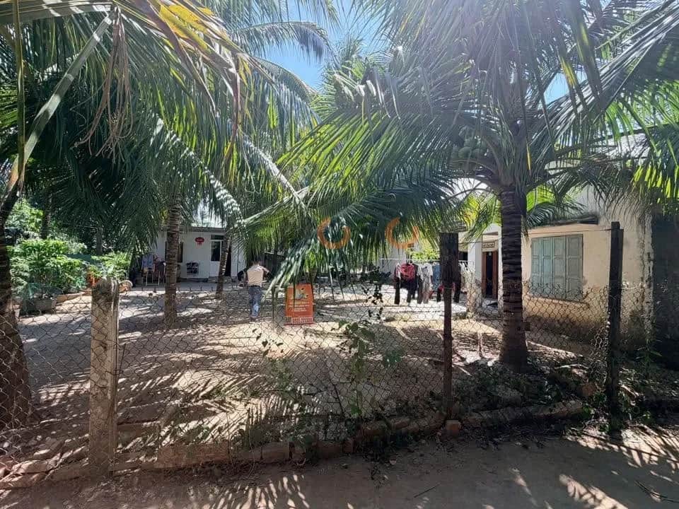 Bán đất Thôn Đắc Lộc Thành phố Nha Trang, Khánh Hòa – giá 1.1 tỷ Bán đất Thôn Đắc Lộc Thành phố Nha Trang, Khánh Hòa – giá 1.1 tỷ