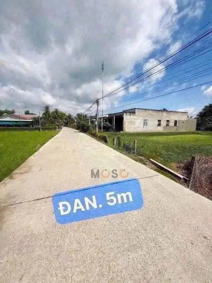 Hình ảnh nhà 2 Hình ảnh nhà 2