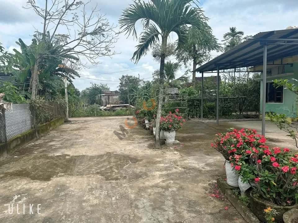 Hình ảnh nhà 3 Hình ảnh nhà 3