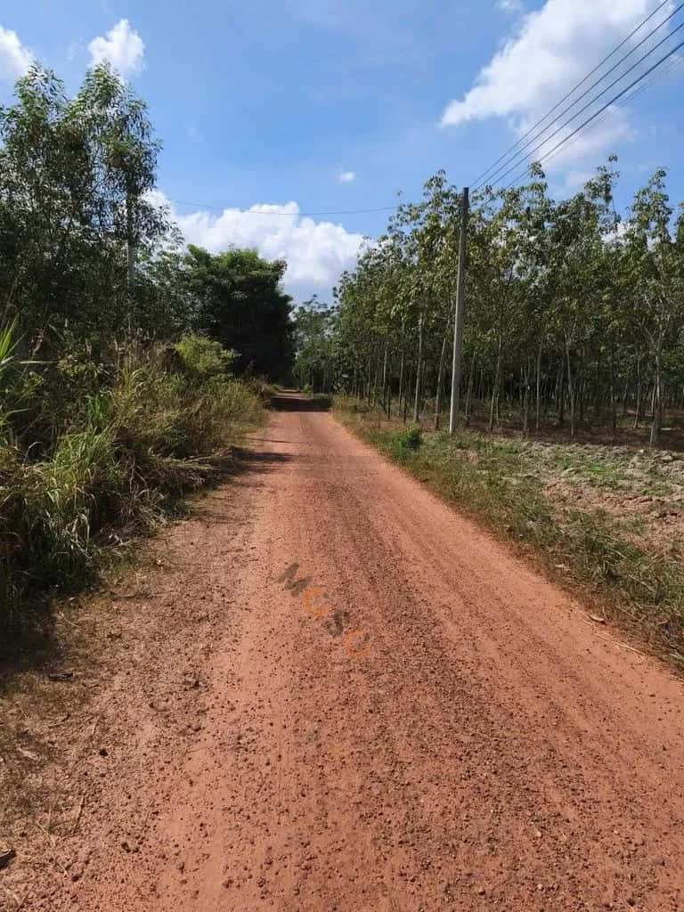 Hình ảnh nhà 2 Hình ảnh nhà 2