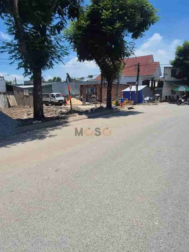 Image Image