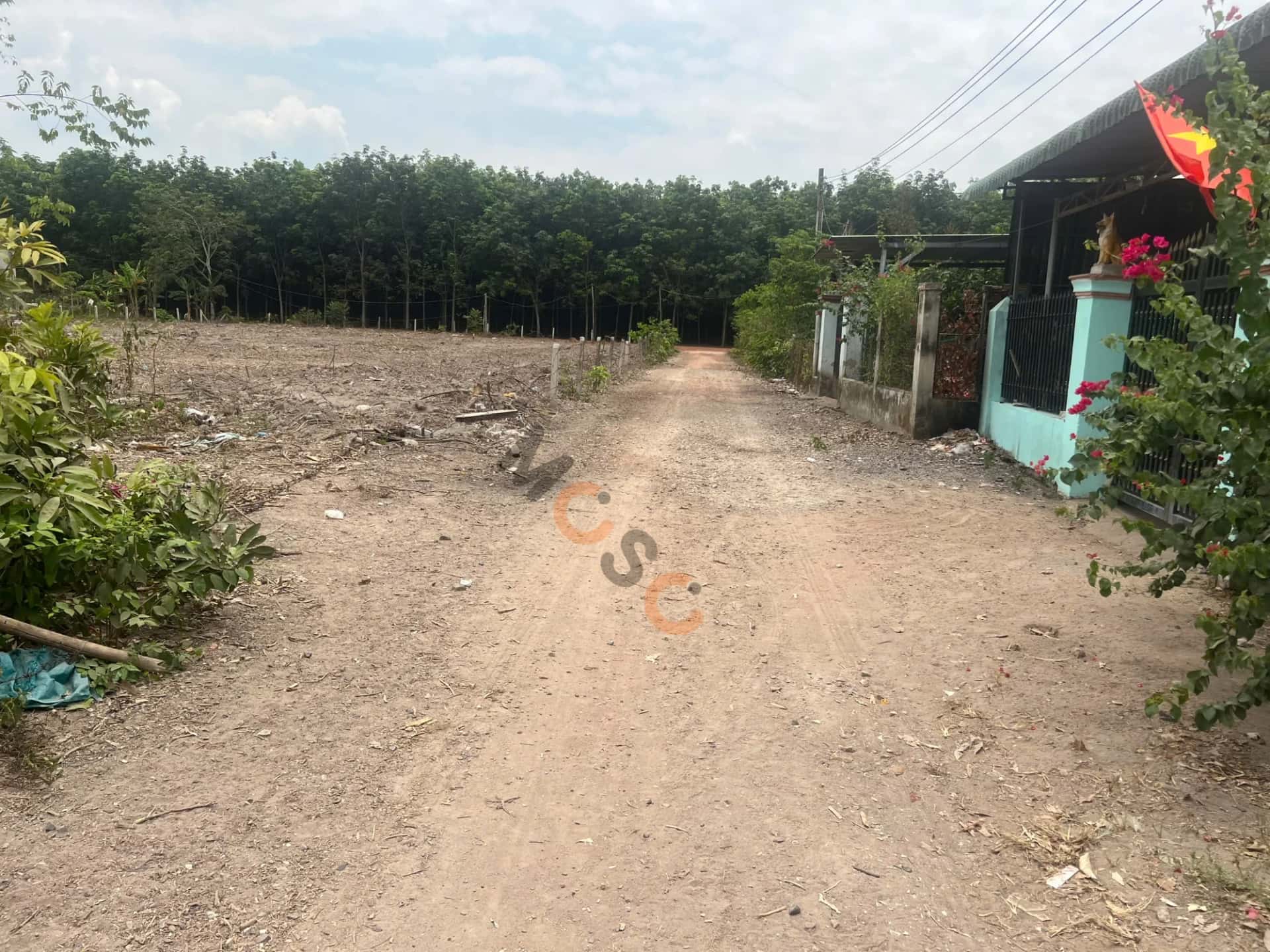 Hình ảnh nhà 3 Hình ảnh nhà 3