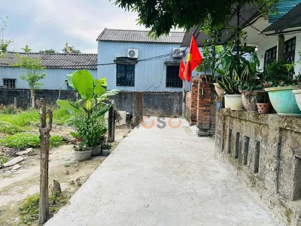 Bán đất Kiệt 2 Nam Thượng, TDP Nam Thượng Quận Thuận Hóa, TP. Huế – giá 1.1 tỷ — Hình 3 Bán đất Kiệt 2 Nam Thượng, TDP Nam Thượng Quận Thuận Hóa, TP. Huế – giá 1.1 tỷ — Hình 3