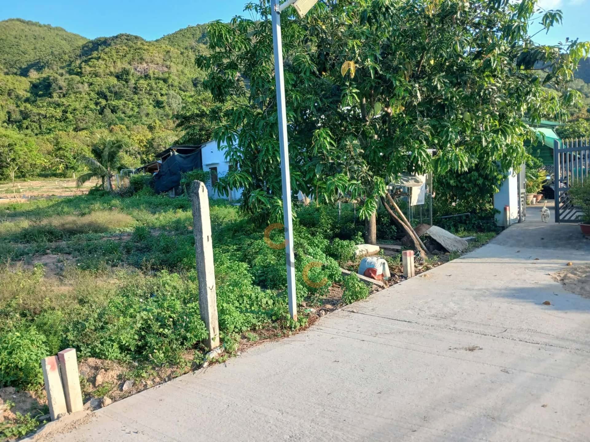 Bán đất Thôn An Ninh Huyện Diên Khánh, Khánh Hòa – giá 882 triệu — Hình 3 Bán đất Thôn An Ninh Huyện Diên Khánh, Khánh Hòa – giá 882 triệu — Hình 3