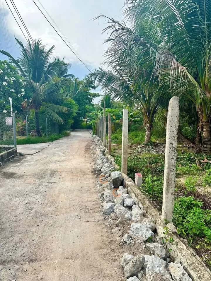 Bán đất thôn Xuân Phú 1 Huyện Diên Khánh, Khánh Hòa – giá 590 triệu — Hình 2 Bán đất thôn Xuân Phú 1 Huyện Diên Khánh, Khánh Hòa – giá 590 triệu — Hình 2