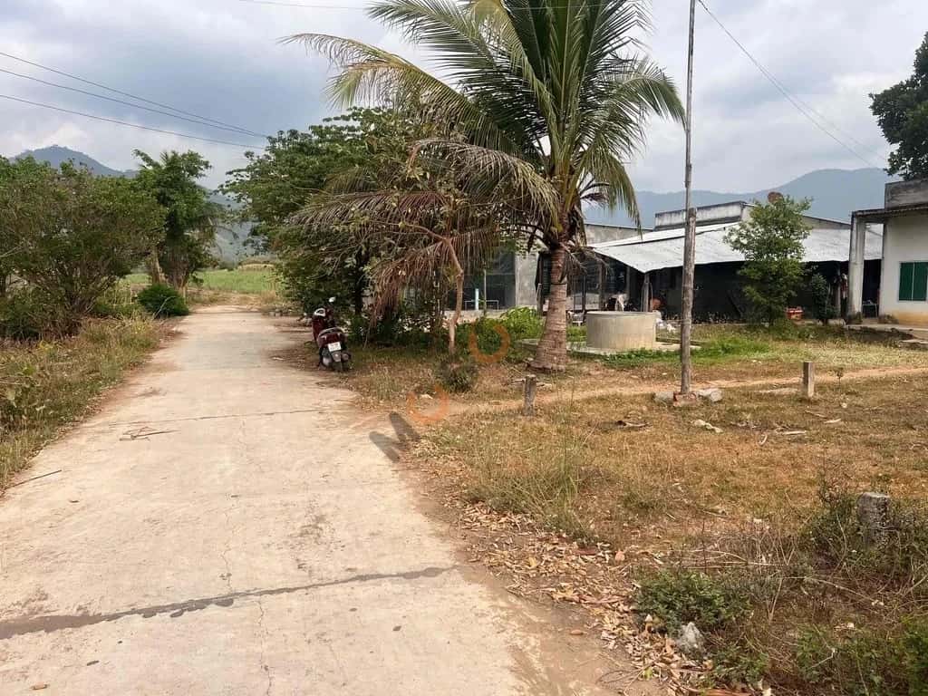 Hình ảnh nhà 3 Hình ảnh nhà 3