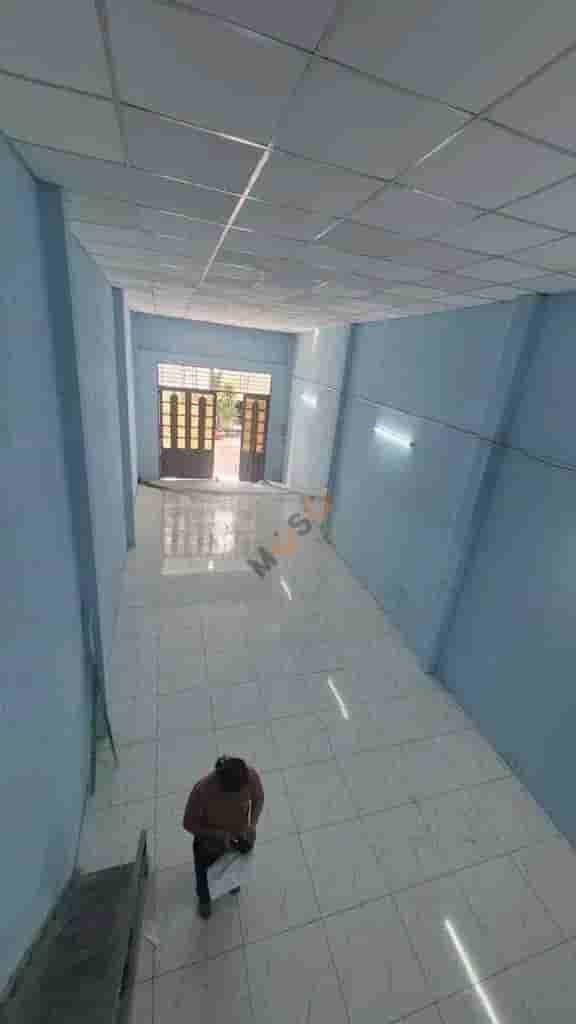 Image Image