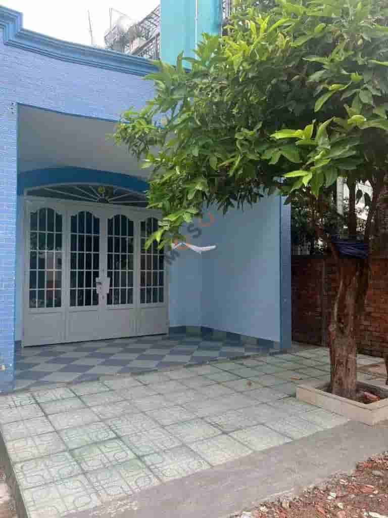 Image Image