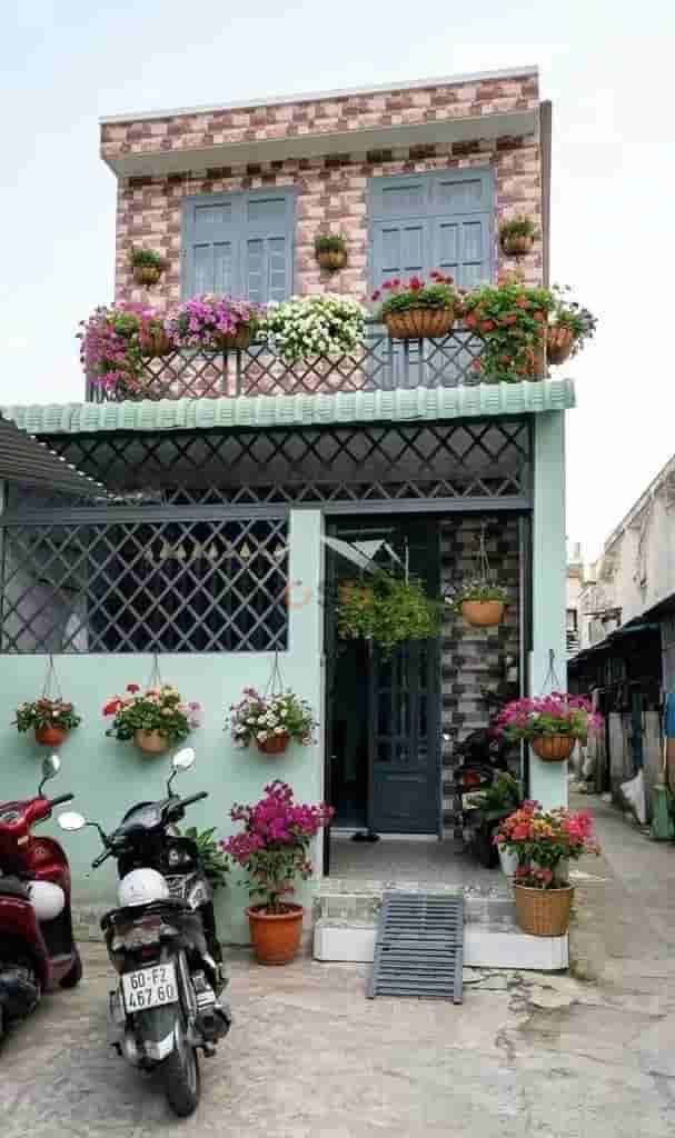 Image Image