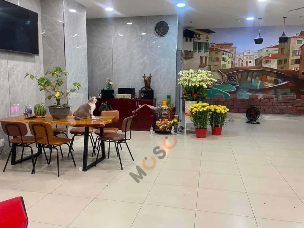 Cho thuê BĐS khác Lương Thế Vinh Tân Phú, TP.HCM – giá 22 triệu — Hình 3 Cho thuê BĐS khác Lương Thế Vinh Tân Phú, TP.HCM – giá 22 triệu — Hình 3