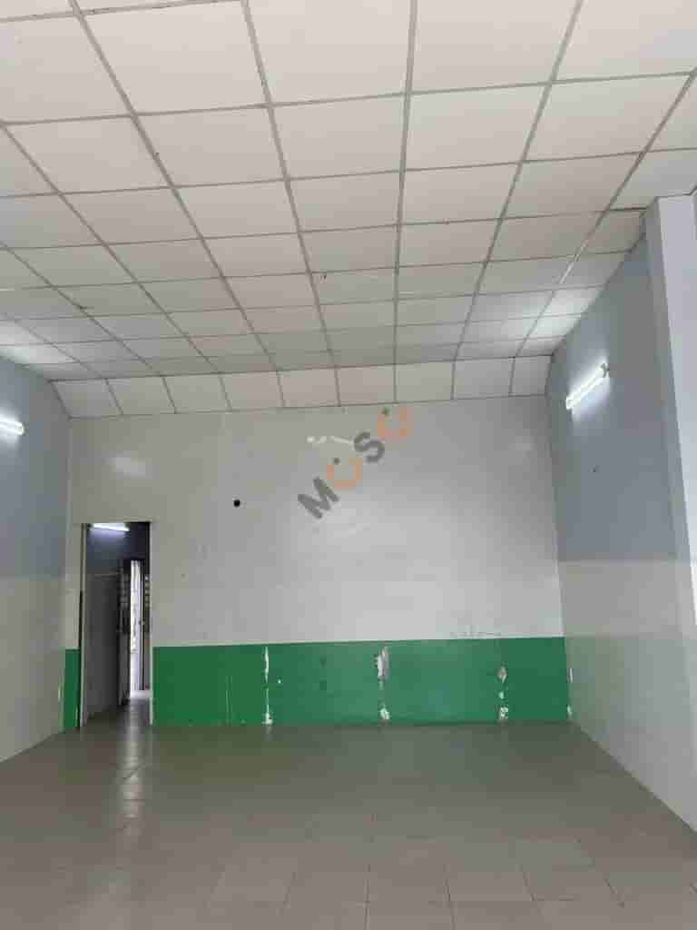 Image Image