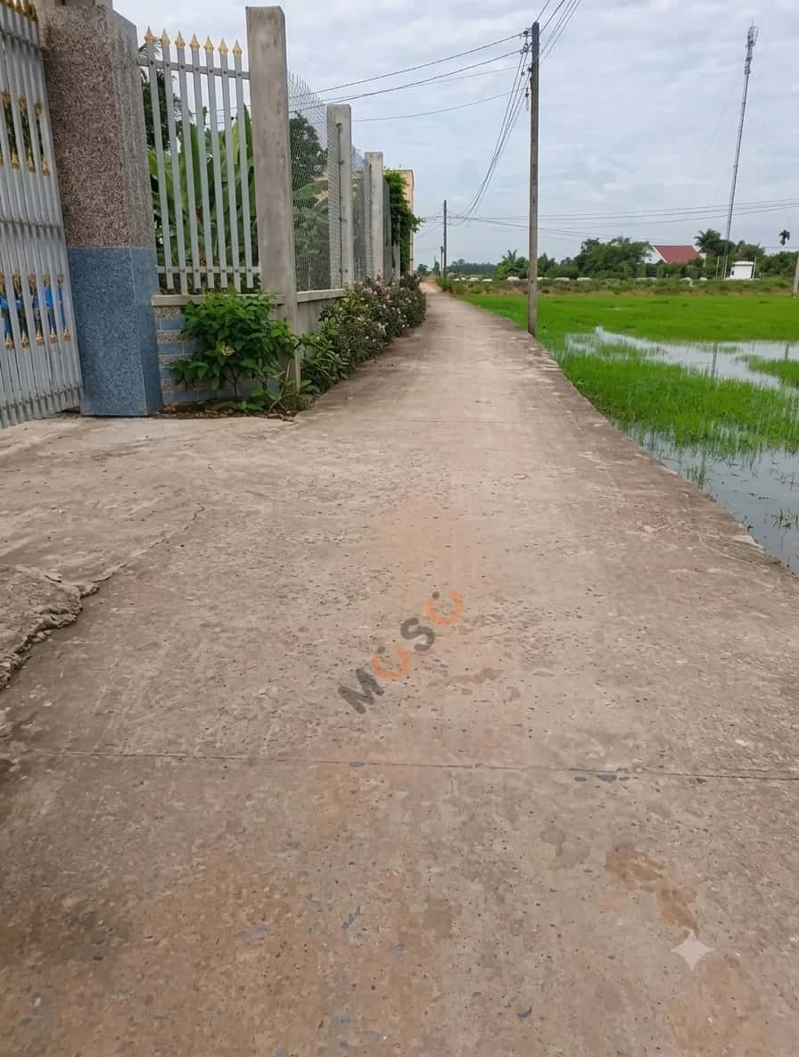 Hình ảnh nhà 2 Hình ảnh nhà 2