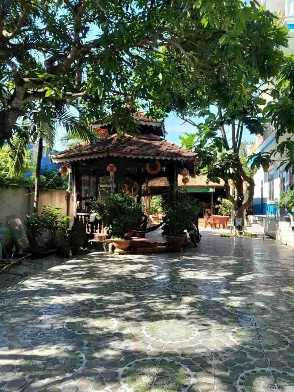 Image Image