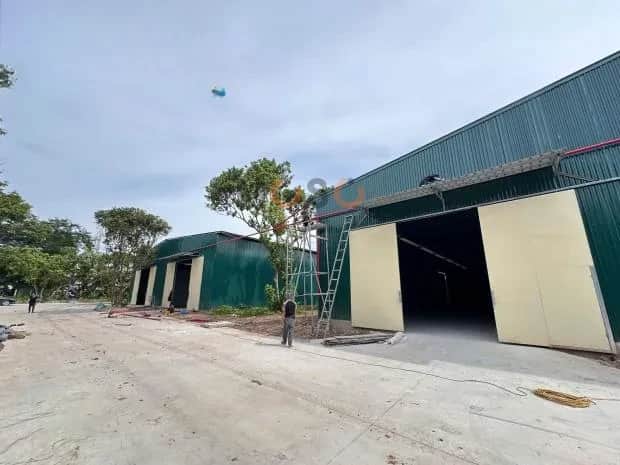 Cho thuê kho, nhà xưởng Quốc lộ 5 Huyện Gia Lâm, Hà Nội – giá 75 triệu Cho thuê kho, nhà xưởng Quốc lộ 5 Huyện Gia Lâm, Hà Nội – giá 75 triệu