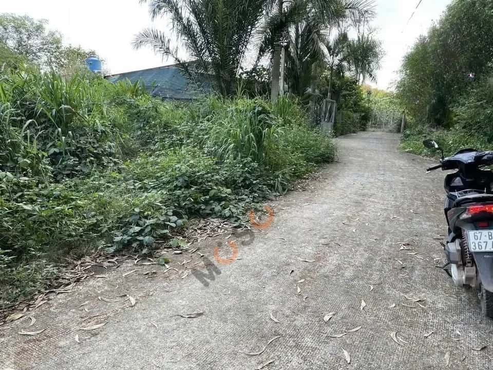 Hình ảnh nhà 2 Hình ảnh nhà 2