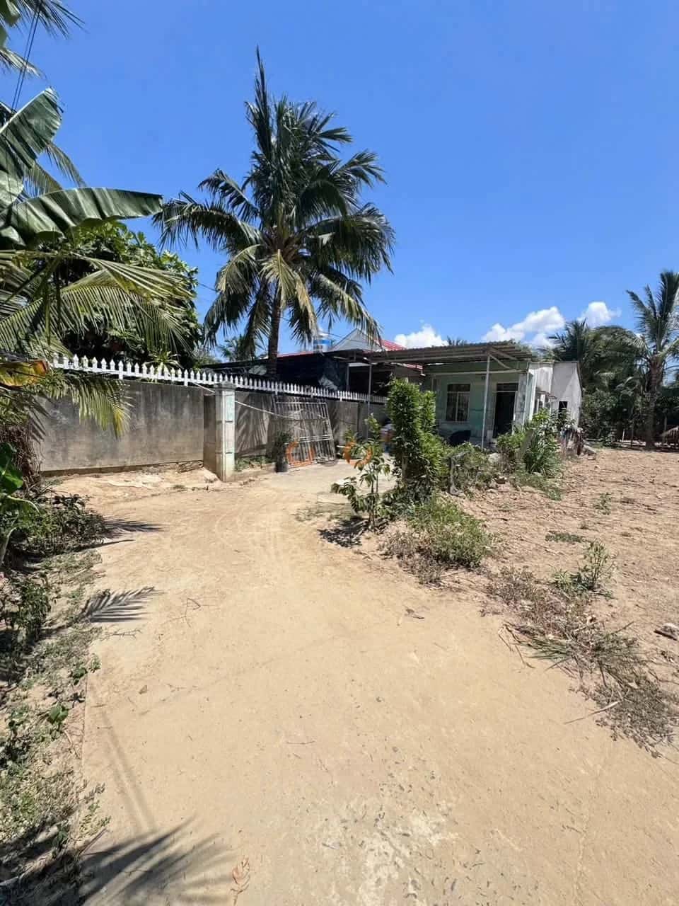 Bán đất Thôn Phú Bình Thành phố Nha Trang, Khánh Hòa – giá 3.6 tỷ — Hình 3 Bán đất Thôn Phú Bình Thành phố Nha Trang, Khánh Hòa – giá 3.6 tỷ — Hình 3