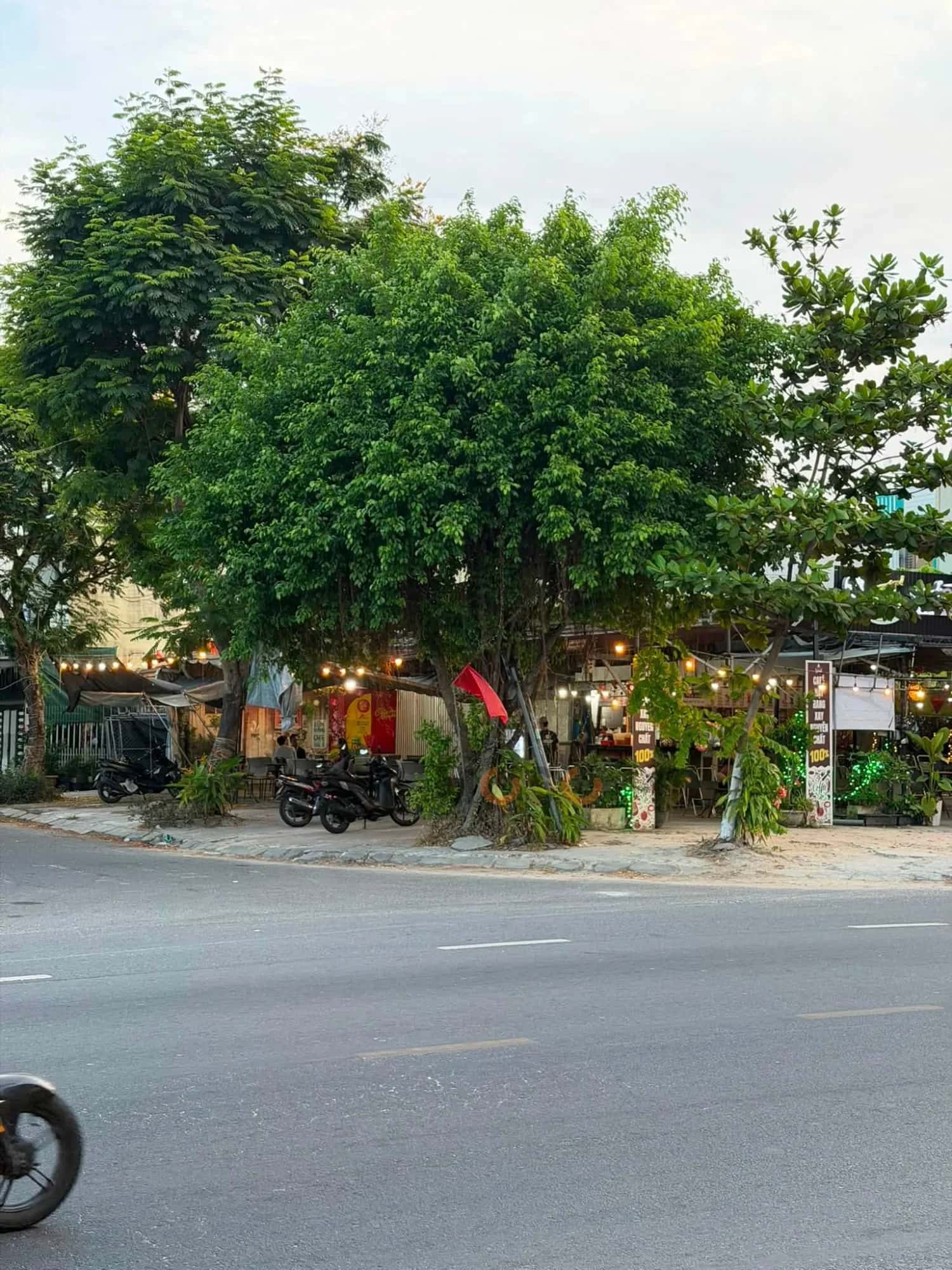 Hình ảnh nhà 2 Hình ảnh nhà 2