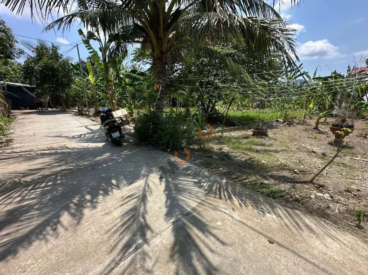 Bán đất Thôn Trung Nam Huyện Diên Khánh, Khánh Hòa – giá 1.8 tỷ — Hình 2 Bán đất Thôn Trung Nam Huyện Diên Khánh, Khánh Hòa – giá 1.8 tỷ — Hình 2
